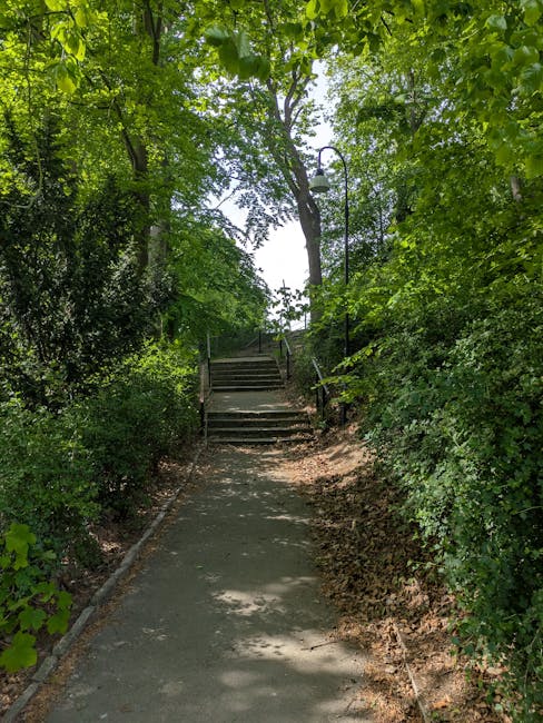 A pathway leading uphill through a lush, green wooded area with dense foliage on both sides. The path is paved with concrete and bordered by low brick edges, with some sunlight filtering through the canopy above. Metal handrails are positioned alongside wooden steps near the top of the incline. In the context of house removals and moving logistics, this scene could depict access routes within Crystal Palace Park, relevant to parking and access considerations for home relocation services provided by Man with Van Gipsy Hill. The overall environment appears tranquil and shaded, demonstrating an outdoor area where furniture and packing materials might be transported on foot as part of a moving process related to the page titled 'Crystal Palace Park moves: parking, access and timing, GIPSY HILL.'